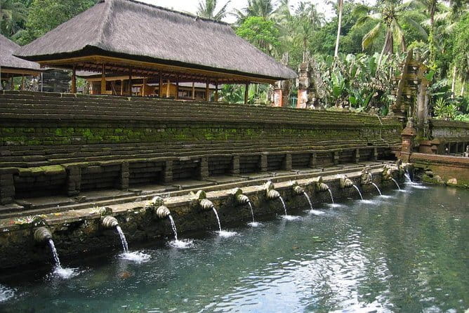 Private Shore Excursion: Highlights of Bali - Coffee tasting at Satria Agrowisata