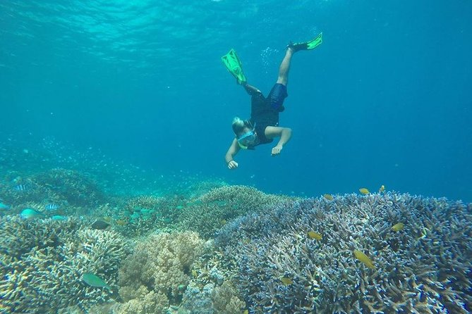 Private Snorkeling Gili Island (Coral, Statue and Turtle) - Why this four-hour trip is worth considering