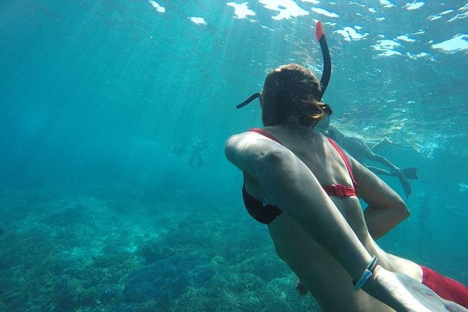 Private Snorkeling Gili Island (Coral, Statue and Turtle) - Price, privacy, and the real value