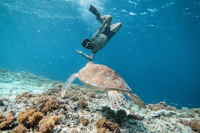 Private Snorkeling Gili Island Including GoPro Camera - The underwater statues at The Nest