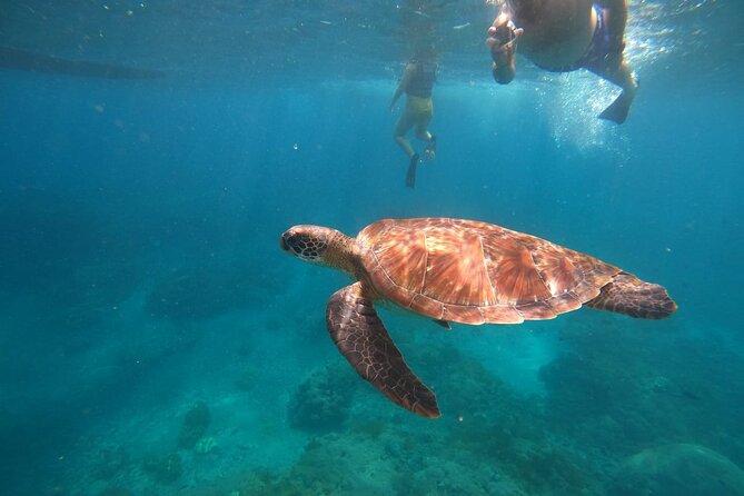 Private Snorkeling in Manta Bay, Gamat Bay & Wall at Nusa Penida - Five things to know before you book
