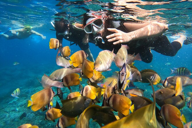 Private Snorkeling in Manta Bay, Gamat Bay & Wall at Nusa Penida - What the day actually includes