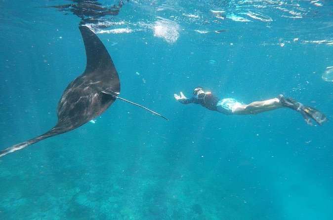 Private Snorkeling in Manta Bay, Gamat Bay & Wall at Nusa Penida - A private boat changes the feel of snorkeling