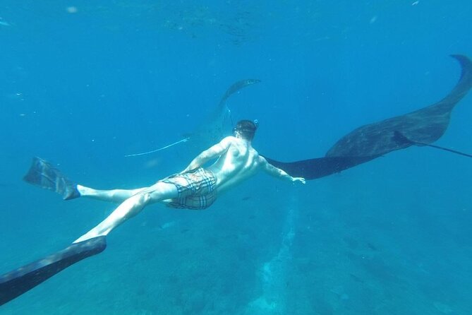 Private Snorkeling in Manta Bay, Gamat Bay & Wall at Nusa Penida - Transport from Kuta to Nusa Penida