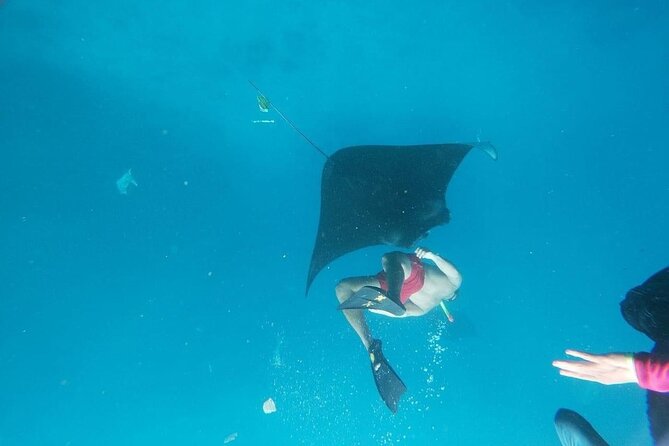 Private Snorkeling in Manta Bay, Gamat Bay & Wall at Nusa Penida - Lunch and what is included