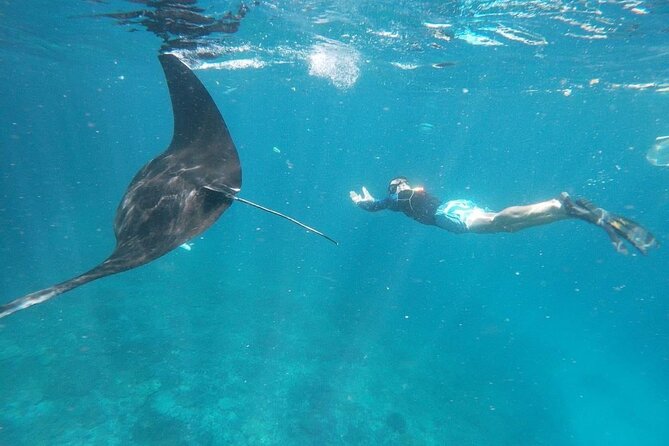 Private Snorkeling in Manta Bay, Gamat Bay & Wall at Nusa Penida - Is $115 per person fair?