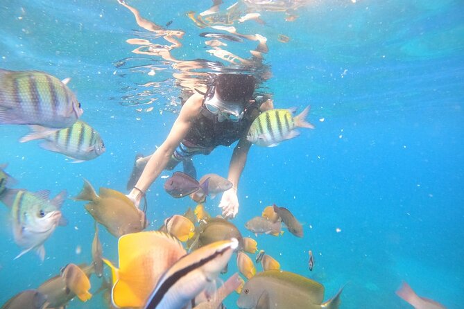 Private Snorkeling in Manta Bay, Gamat Bay & Wall at Nusa Penida - Manta Bay: the big hope, not a guarantee