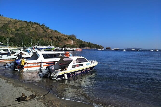 Private Speedboat transfer Between Lombok and Gili Islands - What your crossing looks like