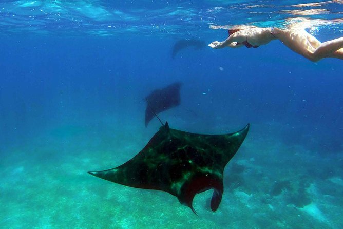 Private tour 4 days 3 nights Komodo on boat, waterfall and Rangko cave - Why this Komodo tour works so well