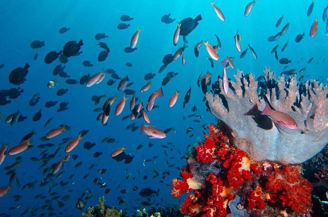 Private tour 4 days 3 nights Komodo on boat, waterfall and Rangko cave - The real cost and what you need to add
