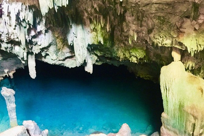 Private tour 4 days 3 nights Komodo on boat, waterfall and Rangko cave - Who should book this private Flores experience?