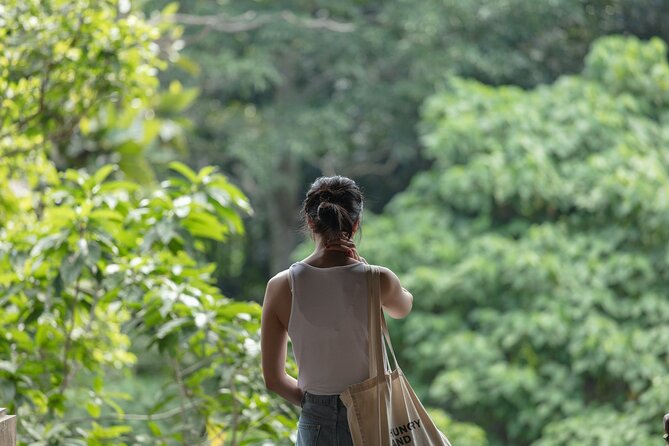 Private Tour : Bali Best Waterfalls, Temples and Monkey Forest - Elephant Cave explains a misleading name