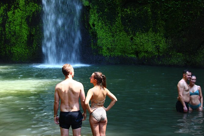 Private Tour : Bali Best Waterfalls, Temples and Monkey Forest - Sangeh Monkey Forest is more than a photo stop
