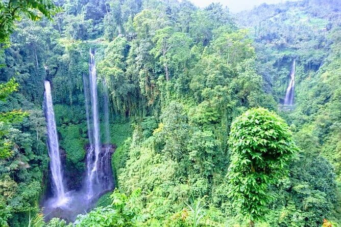 Private Tour: Bali Heritage Sites - Who Should Book This Bali Heritage Tour?