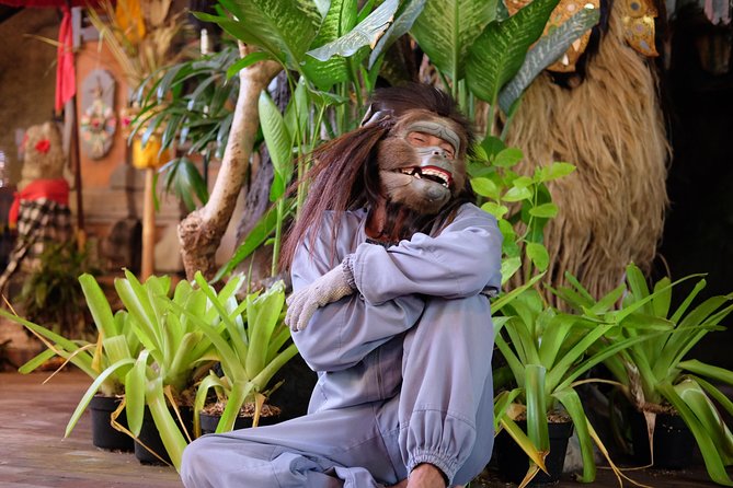 Private Tour: Bali in a Day - Why the driver matters more than the vehicle
