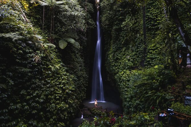 Private Tour: Bali Temples, Hidden Waterfall and Handara Gate - Handara Gate and the cost of an Instagram stop