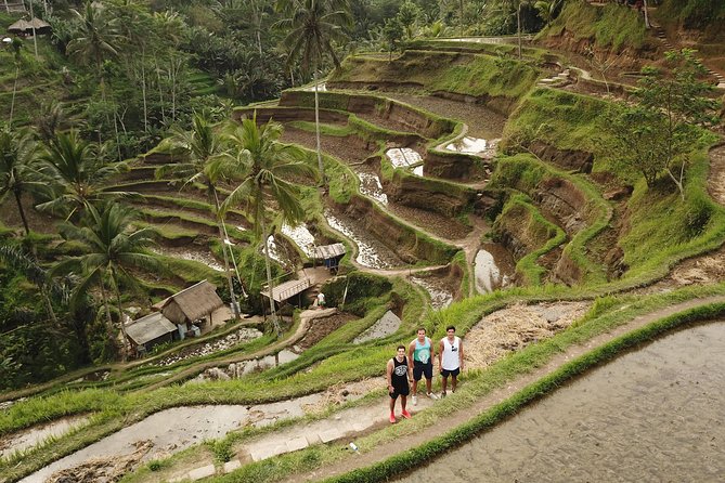 Private Tour: Bali Volcano with Jungle Swing Experience - Mount Batur views over a buffet lunch