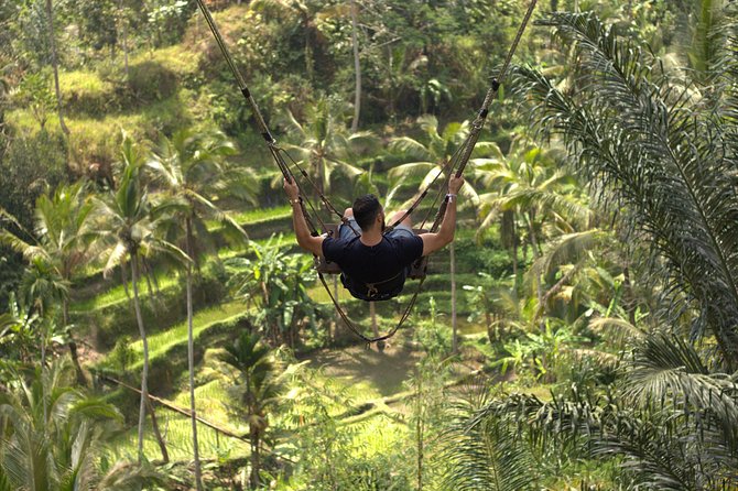 Private Tour: Bali Volcano with Jungle Swing Experience - Tegenungan Waterfall for the final splash