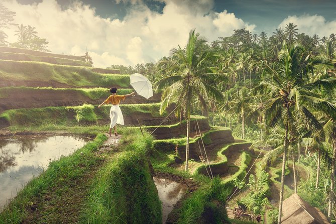 Private Tour: Best of Bali - All Inclusive Tickets - What this Bali day tour is really designed to do