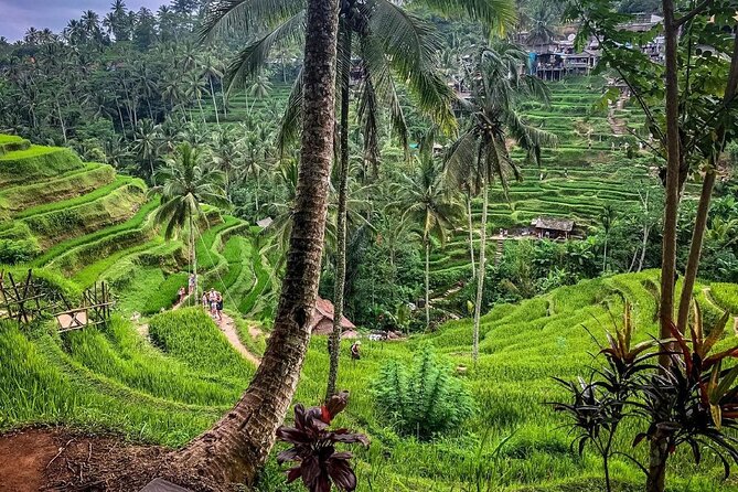 Private Tour: Best of Bali - All Inclusive Tickets - Tegenungan Waterfall requires a real walk