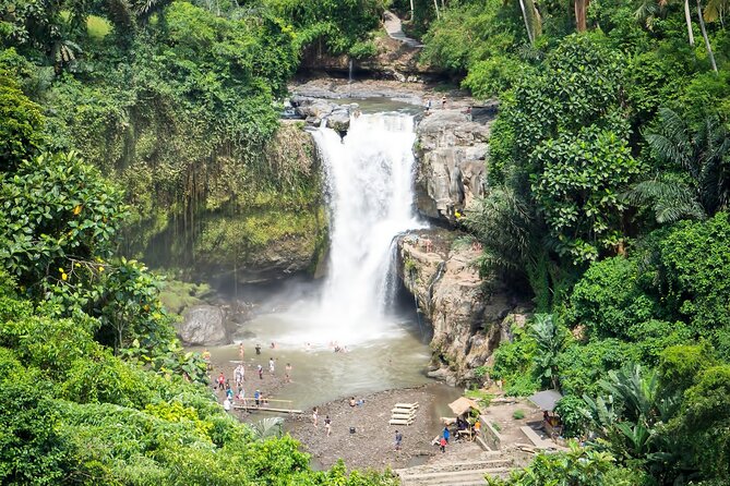 Private Tour: Best of Bali - All Inclusive Tickets - Tegalalang Rice Terrace is the classic final image