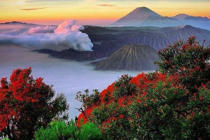 Private Tour : Bromo Ijen Tour From Bali - Day 1: Crossing from Bali at Gilimanuk