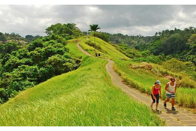 Private Tour: Campuhan Ridge Walk, Ubud Rice Terrace & Ubud Palace - Four details that shape the day