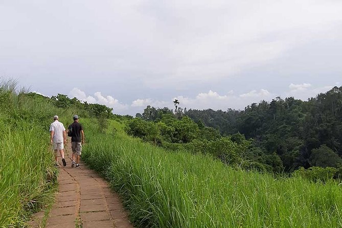 Private Tour: Campuhan Ridge Walk, Ubud Rice Terrace & Ubud Palace - Why this four-stop Ubud route works