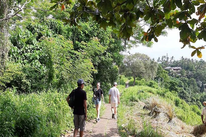 Private Tour: Campuhan Ridge Walk, Ubud Rice Terrace & Ubud Palace - Ubud Palace: royal architecture and Balinese performance