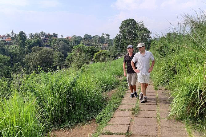 Private Tour: Campuhan Ridge Walk, Ubud Rice Terrace & Ubud Palace - What the private vehicle adds to the price