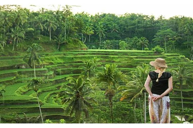 Private Tour: Campuhan Ridge Walk, Ubud Rice Terrace & Ubud Palace - What the day feels like from start to finish