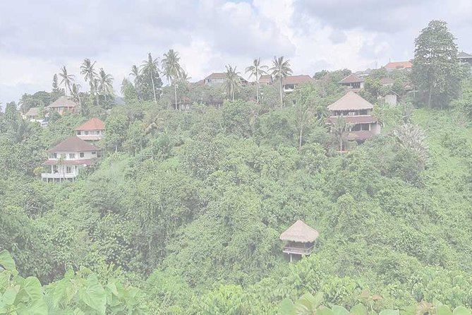 Private Tour: Campuhan Ridge Walk, Ubud Rice Terrace & Ubud Palace - Ceking Rice Terrace: Bali’s famous stepped fields