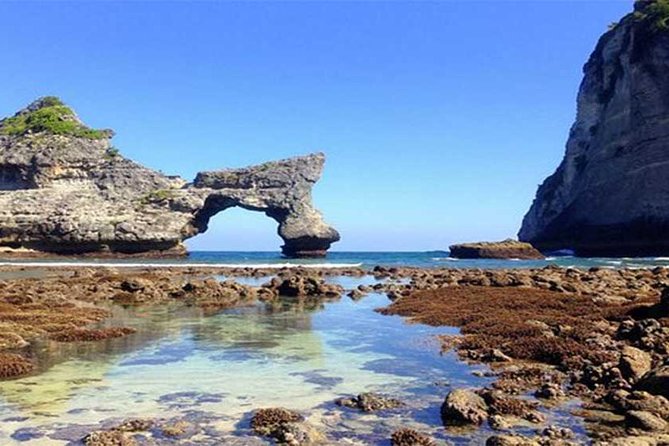 Private tour : East of Nusa Penida Day Tour All-inclusive - Diamond Beach, the eastern coast’s big viewpoint