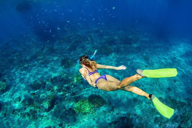 Private Tour: Heaven Gate Temple, Tirta Gangga and Blue Lagoon Snorkeling - Why this Bali day trip works so well