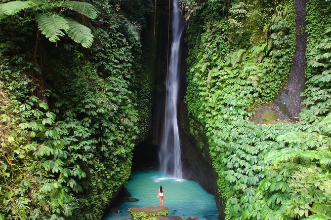 Private Tour: Leke-Leke Waterfall, Handara gate & Iconic Temples - Five things to know before booking