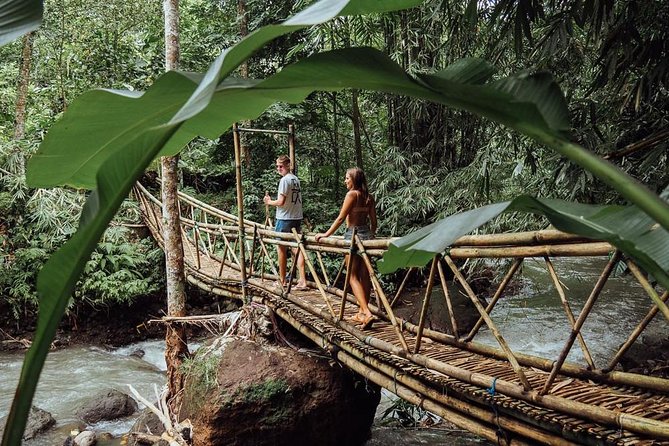 Private Tour: Leke-Leke Waterfall, Handara gate & Iconic Temples - Why this private Bali day trip works