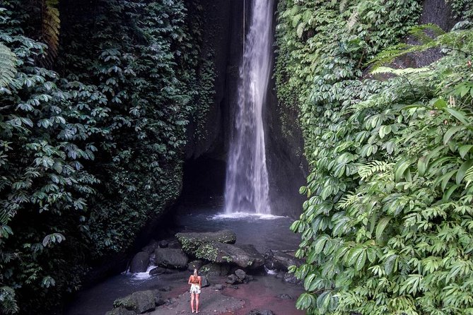 Private Tour: Leke-Leke Waterfall, Handara gate & Iconic Temples - What the private driver adds