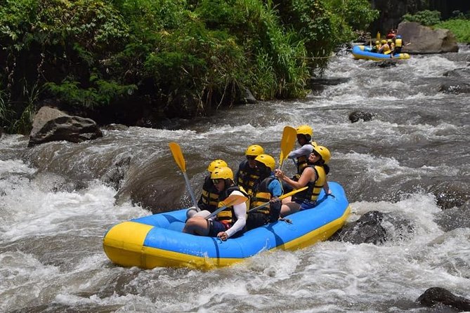 Private Tour Rafting Uluwatu Kecak Dance Sunset and Dinner in Jimbaran Bay - The long-day tradeoff