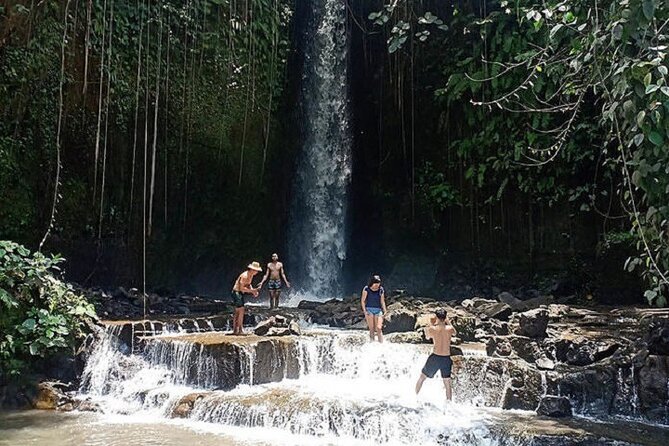 Private Tour to Sumampan Waterfall, Monkey forest, Rice terraces and Swing - D Alas Swing: a short, photo-centered thrill