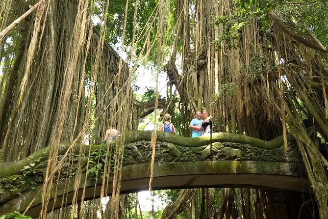 Private Tour to Sumampan Waterfall, Monkey forest, Rice terraces and Swing - Sumampan Waterfall: a calm start near Ubud
