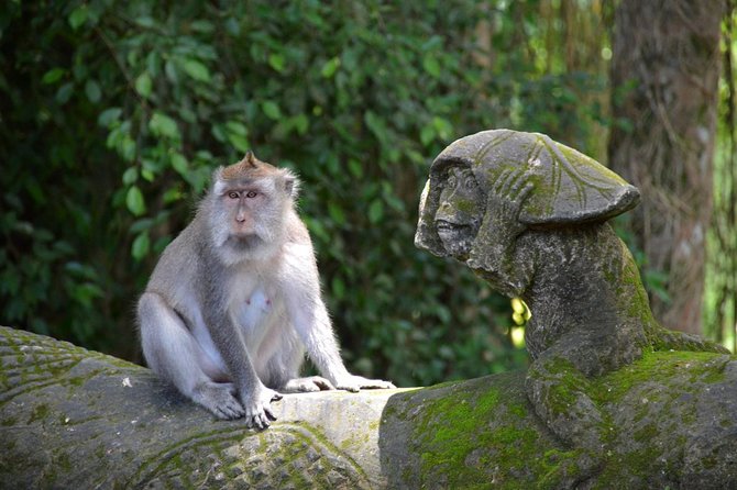 Private Tour: Ubud Day Tour with Traditional Offering Lesson - Seeing Batik, Silver, and the Ubud Craft Tradition