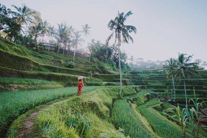 Private Tour: Ubud Highlights - Cooling off at Tegenungan Waterfall
