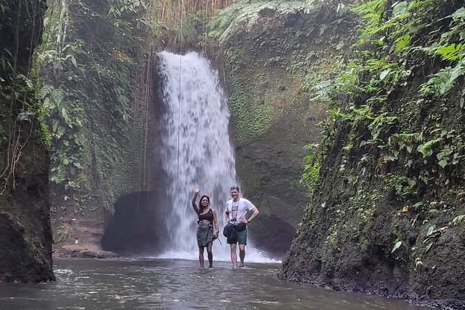 Private Tour Ubud: Swing at Rice Field with Temple and Waterfall - What this Ubud day is really designed to do