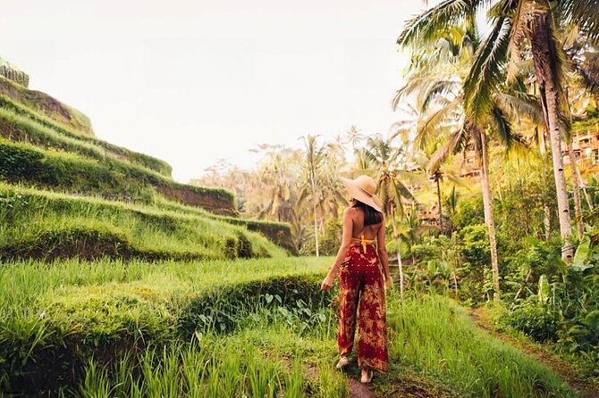 Private Tour Ubud: Swing at Rice Field with Temple and Waterfall - Tirta Empul Temple and the sacred spring ritual