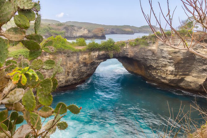 Private Tour West Nusa Penida with T-Rex Beach - Diamond Beach and the East Coast Views