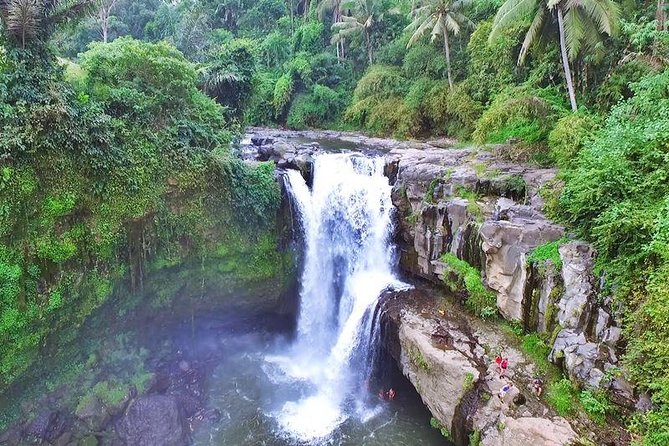 Private Ubud and Volcano Day Trip - Why this private Ubud day trip works