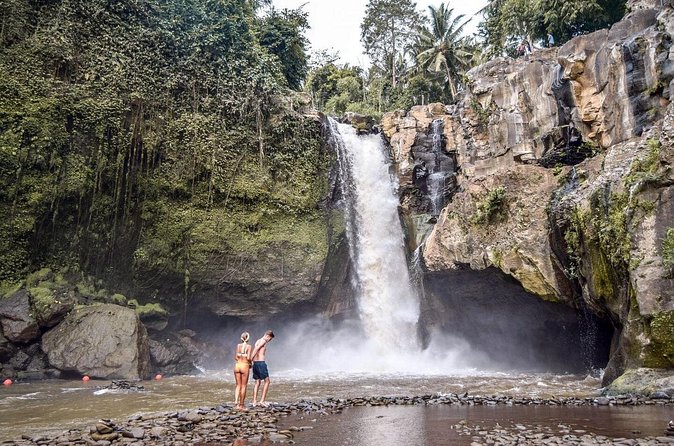 Private Ubud and Volcano Day Trip - Tegalalang Rice Terrace and Bali’s irrigation tradition