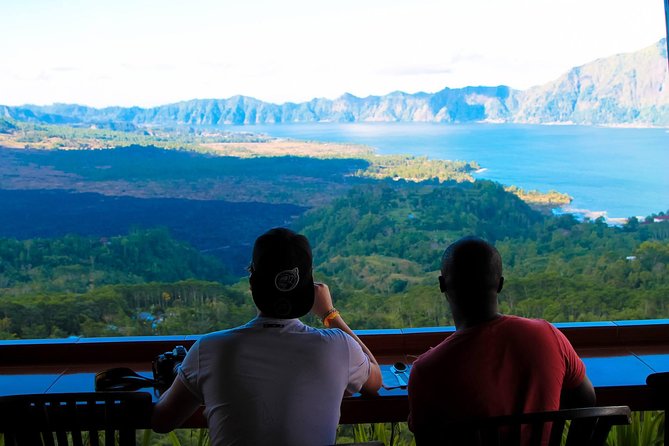 Private Ubud and Volcano Day Trip - What the $38.47 price really covers