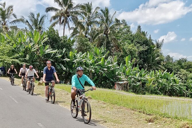 Private Ubud Downhill Cycling with Volcano, Rice Paddies & Meal - The 7:00 am pickup and the long ride to the start