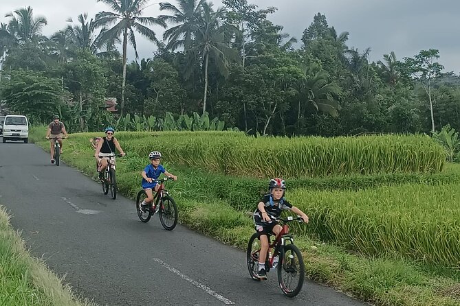 Private Ubud Downhill Cycling with Volcano, Rice Paddies & Meal - Two hours through Manukaya and the rural lanes
